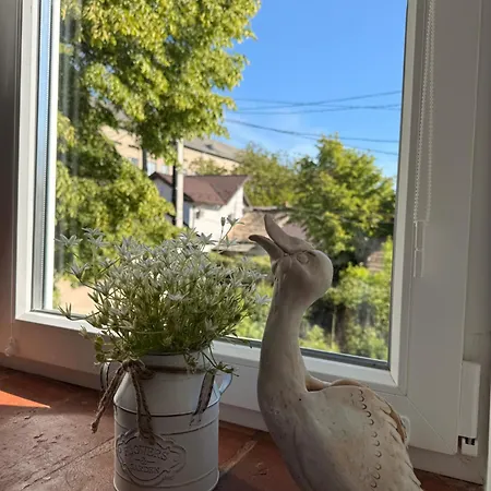 Apartment федорцьо *