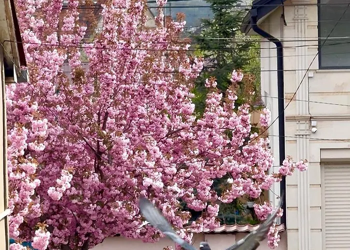 федорцьо Apartment *